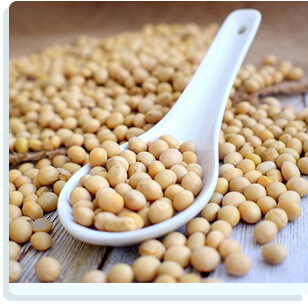 Cell Enhancer Plus - Nattokinase