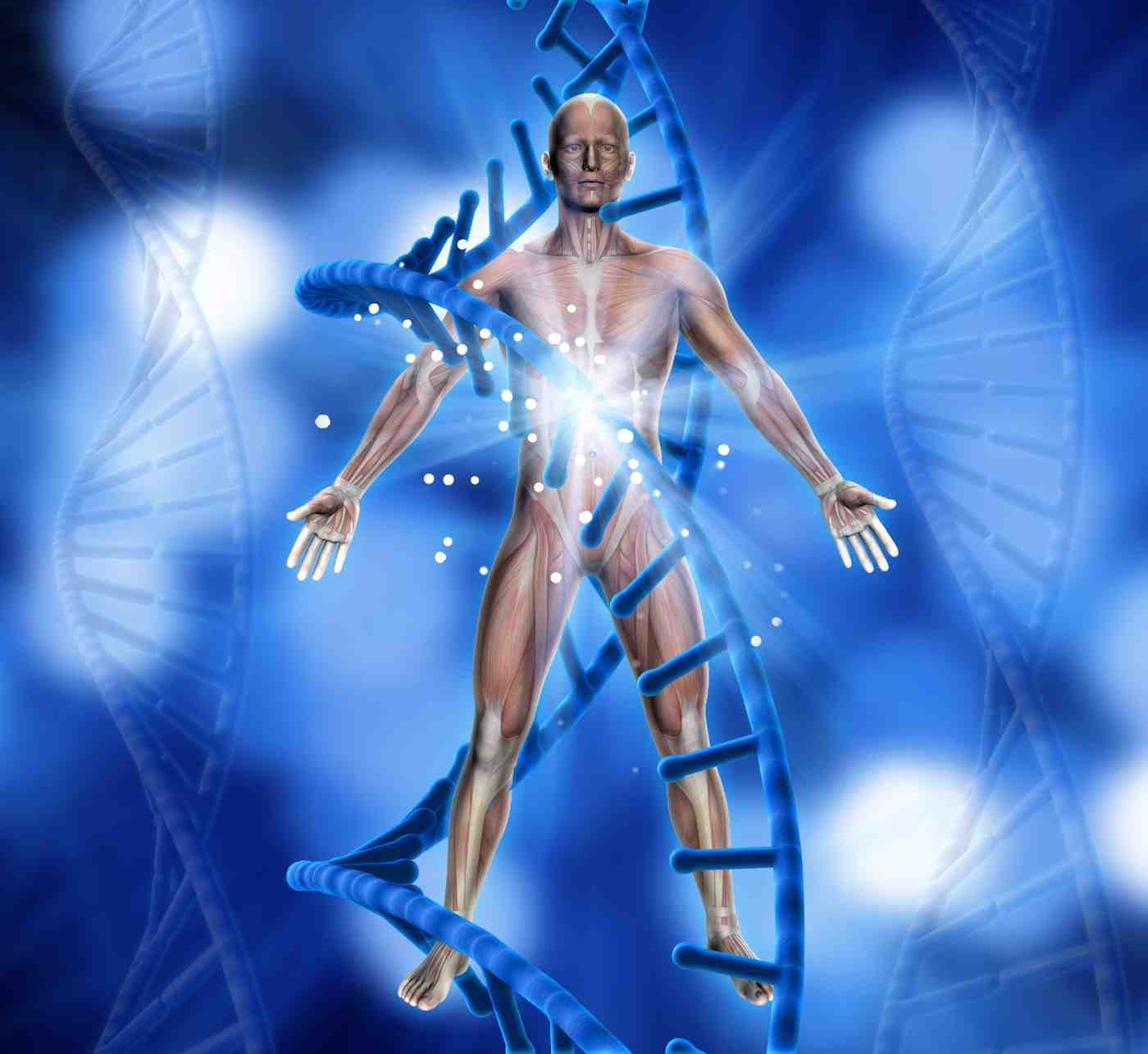 How GLP-1 Works in the Body
